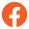 Footer Social icon